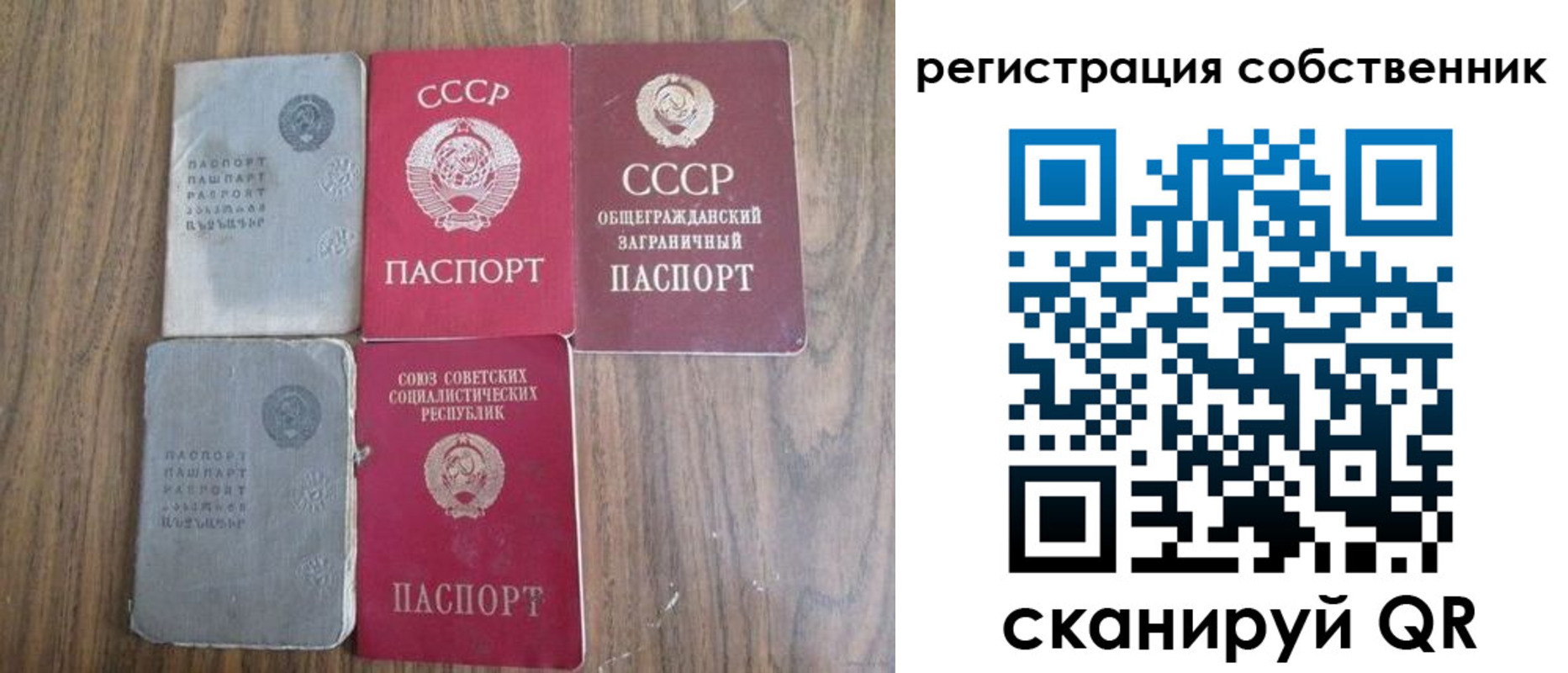 прописка поиск в Саранске